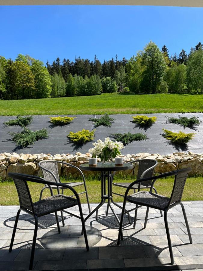 Apartament Na Wzgorzu 1, Sauna, Ebike, Las, Widok - 5D Apartamenty Świeradów-Zdrój 외부 사진